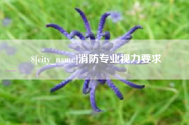 惠东消防专业视力要求