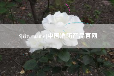 惠东中国消防产品官网