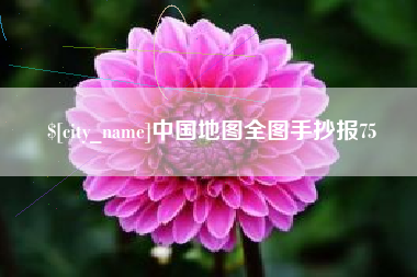 惠东中国地图全图手抄报75