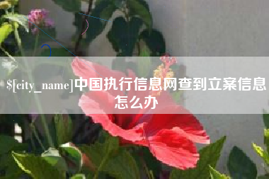 惠东中国执行信息网查到立案信息怎么办