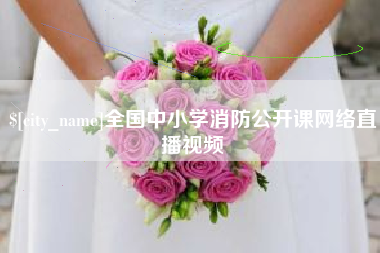 惠东全国中小学消防公开课网络直播视频