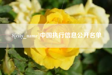 惠东中国执行信息公开名单