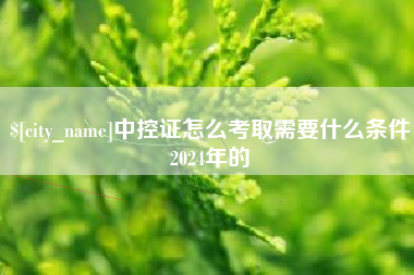惠东中控证怎么考取需要什么条件2024年的