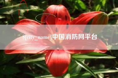 惠东中国消防网平台
