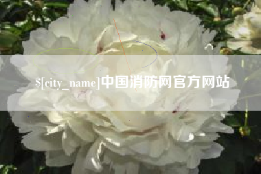 惠东中国消防网官方网站