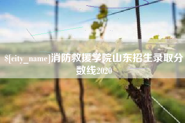 惠东消防救援学院山东招生录取分数线2020