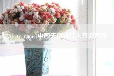 惠东中国失信执行人查询官网
