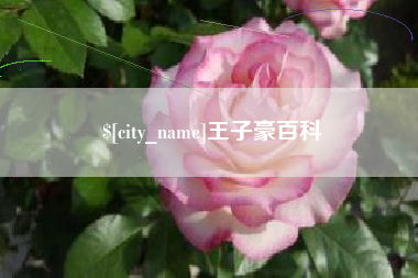 惠东王子豪百科