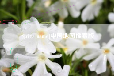 惠东中国地图像素版