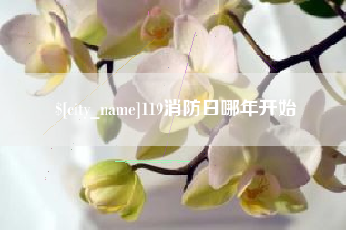 惠东119消防日哪年开始