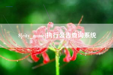 惠东执行公告查询系统