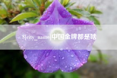 惠东中国金牌都是啥