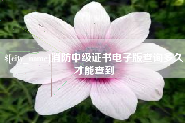 惠东消防中级证书电子版查询多久才能查到