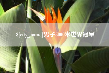 惠东男子5000米世界冠军
