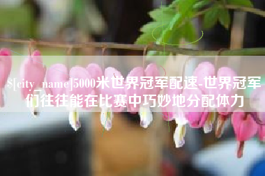 惠东5000米世界冠军配速-世界冠军们往往能在比赛中巧妙地分配体力