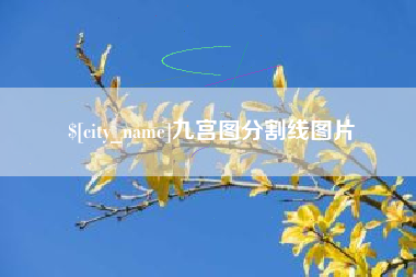 惠东九宫图分割线图片