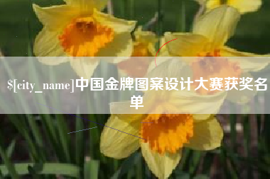 惠东中国金牌图案设计大赛获奖名单