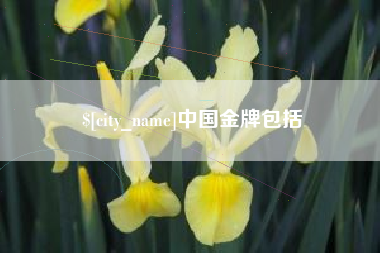 惠东中国金牌包括
