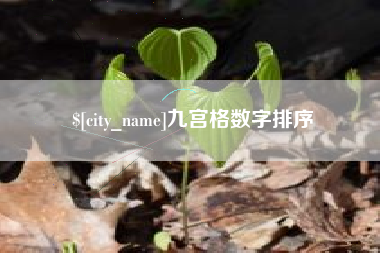 惠东九宫格数字排序