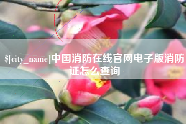 惠东中国消防在线官网电子版消防证怎么查询