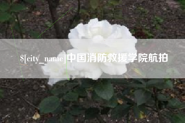 惠东中国消防救援学院航拍