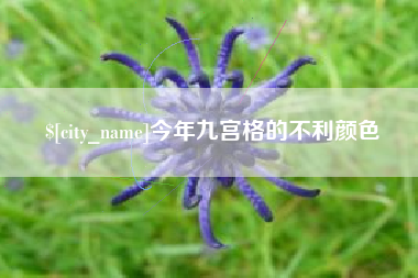 惠东今年九宫格的不利颜色