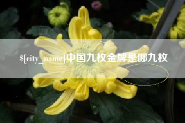 惠东中国九枚金牌是哪九枚