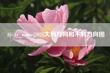 惠东2025大利方向和不利方向图