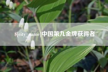 惠东中国第九金牌获得者