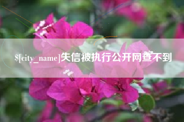 惠东失信被执行公开网查不到