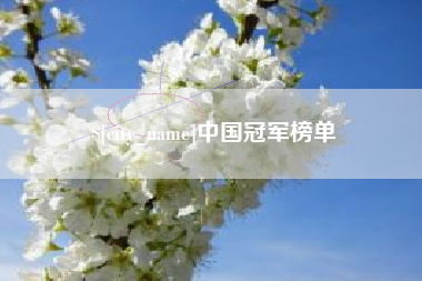惠东中国冠军榜单