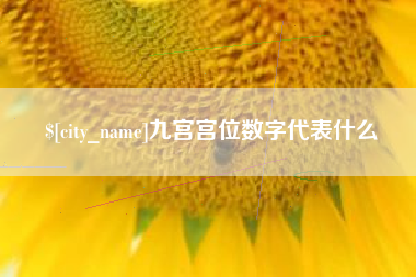 惠东九宫宫位数字代表什么