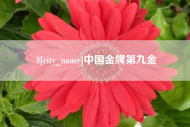 惠东中国金牌第九金