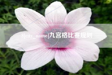 惠东九宫格比赛规则