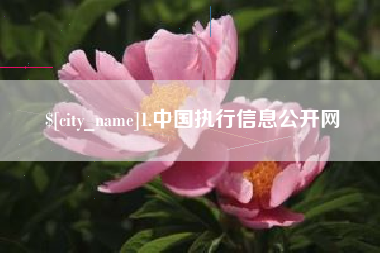 惠东1.中国执行信息公开网