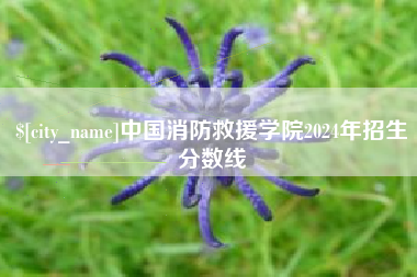 惠东中国消防救援学院2024年招生分数线