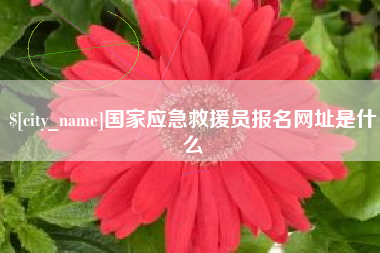 惠东国家应急救援员报名网址是什么