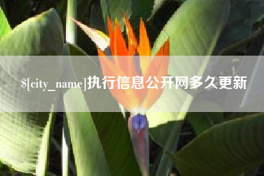 惠东执行信息公开网多久更新
