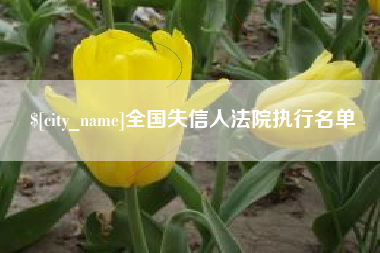 惠东全国失信人法院执行名单