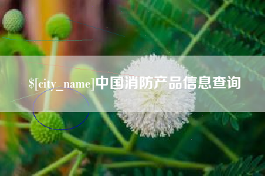 惠东中国消防产品信息查询