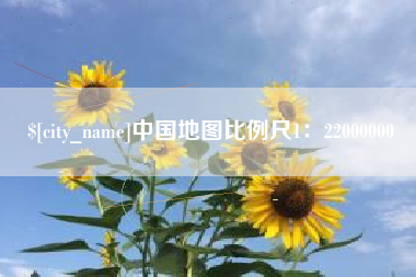 惠东中国地图比例尺1：22000000