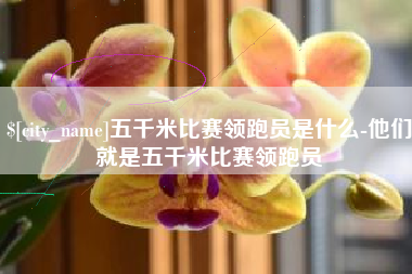 惠东五千米比赛领跑员是什么-他们就是五千米比赛领跑员