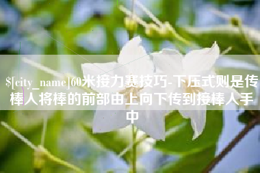 惠东60米接力赛技巧-下压式则是传棒人将棒的前部由上向下传到接棒人手中