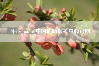 惠东中国消防报考中心官网