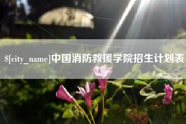 惠东中国消防救援学院招生计划表