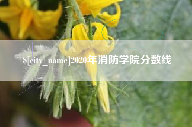 惠东2020年消防学院分数线