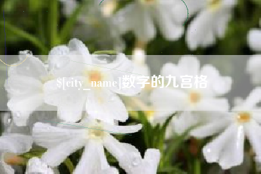 惠东数字的九宫格
