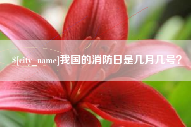 惠东我国的消防日是几月几号？
