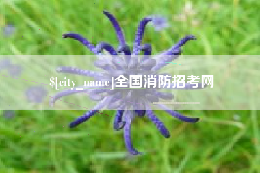惠东全国消防招考网