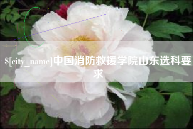 惠东中国消防救援学院山东选科要求
